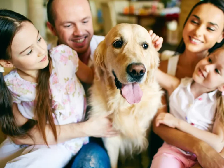 Family Law Shake-Up: Major Reforms Recognise Economic Abuse, Expand Property and Pet Provisions